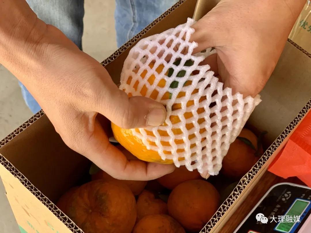 80后小伙网上卖野果,大理80后小伙