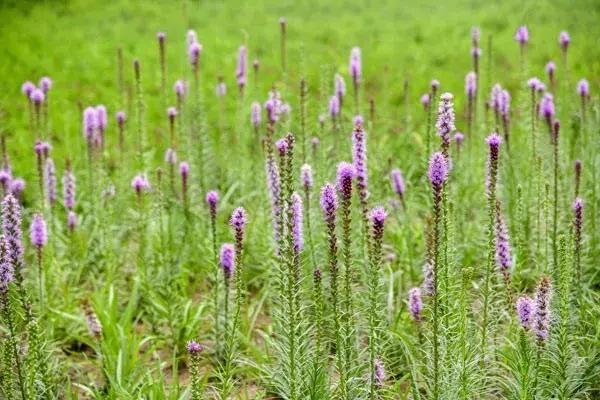 好消息北京石景山八角新乐园,好消息北京朝阳
