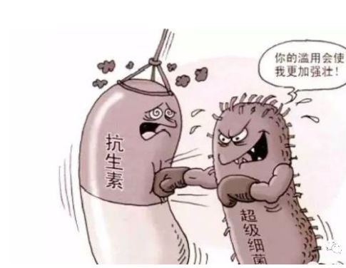益生菌VS滥用抗生素引起的菌群失调现象