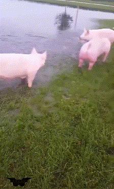 真心话大冒险输了剧情,真心话大冒险认真就输了