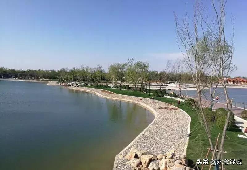 南阳世界月季大观园开幕邀请,南阳月季大观园门票现在免费政策