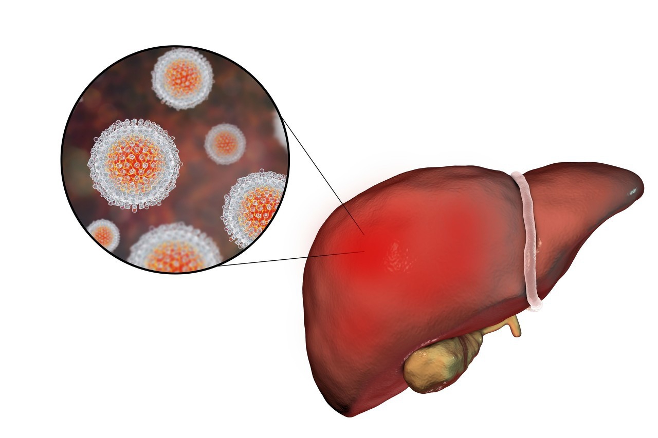 肝不好在肝功能检查中的表现,肝脏受损严重反而肝功会正常吗