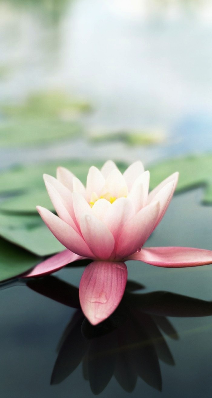 醒悟人生的句子透彻走心句句受益,看透人生醒悟的句子