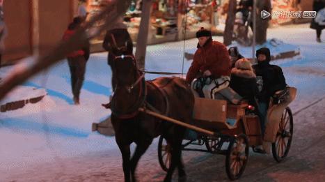 横冲直撞20岁波兰,横冲直撞20岁评价