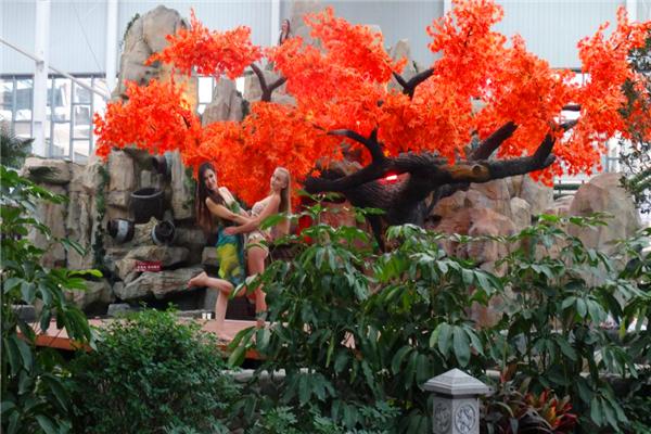 太白山艾兰温泉国际酒店,太白山凤凰温泉酒店住宿