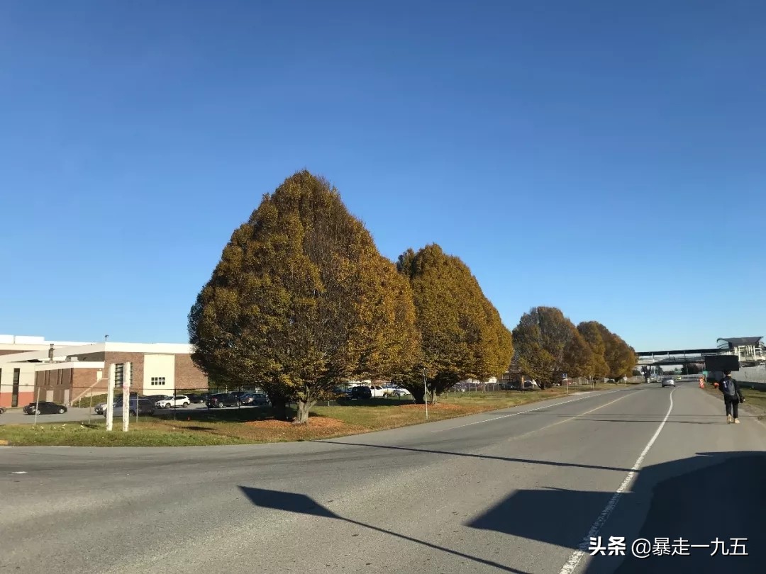 暴走一九五,暴走温哥华完整视频