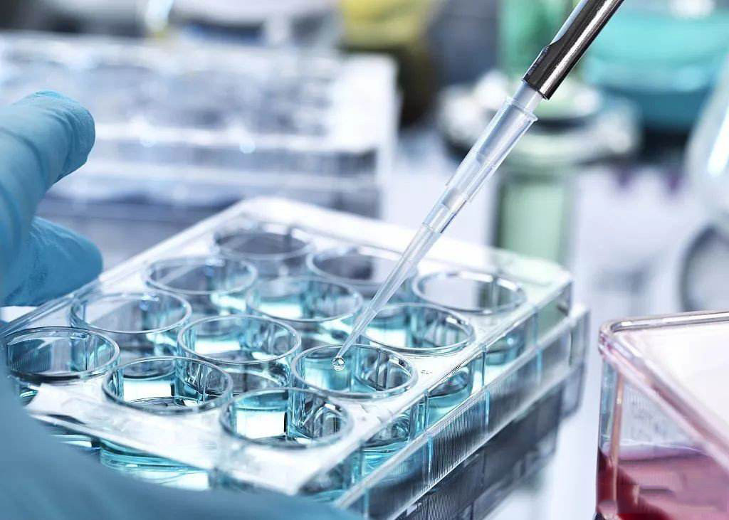 2022干细胞治疗脊髓损伤招募患者,干细胞最新利好