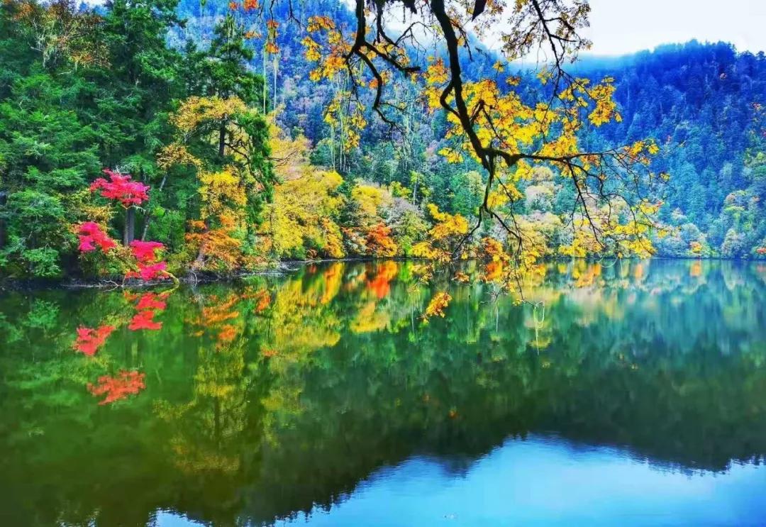 九寨沟路上招手,前方到站宁强