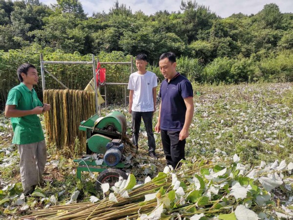 打造农业产业创新发展模式,现代农业产业融合发展项目