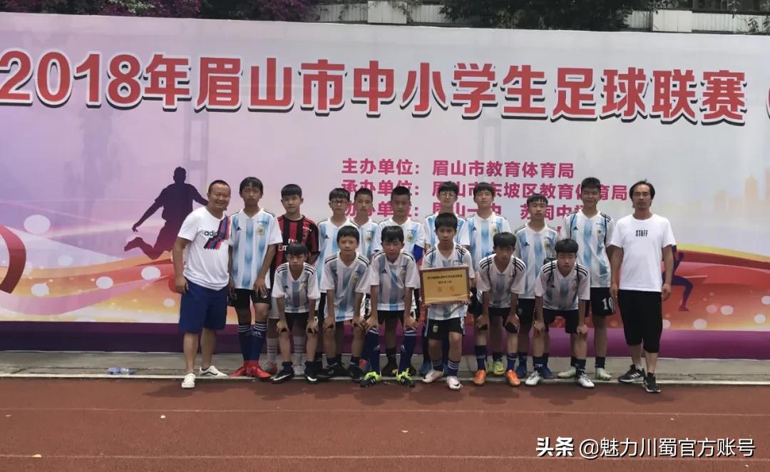 五育并举融合育人体育篇,五育并举体育公开课