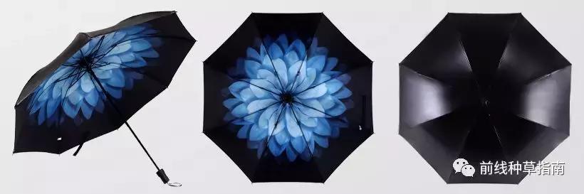 动物防晒VS人类防晒，食物链顶端的我们居然败了？！