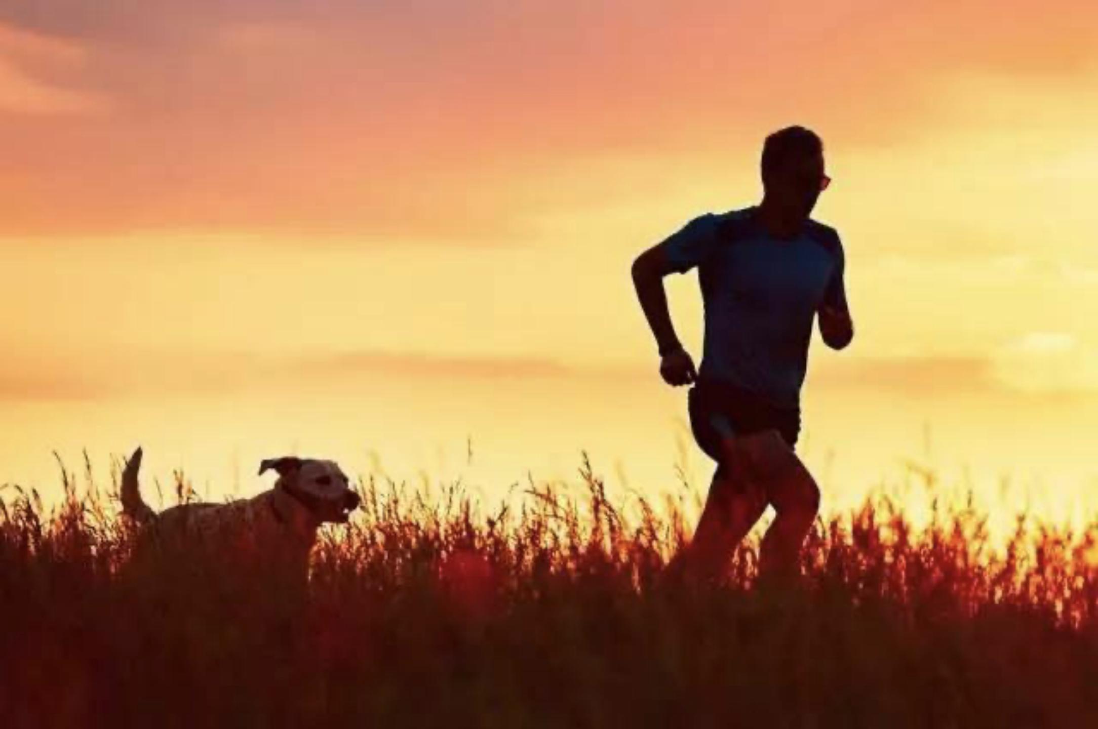 你看不懂的文言文,中国文学史看不懂