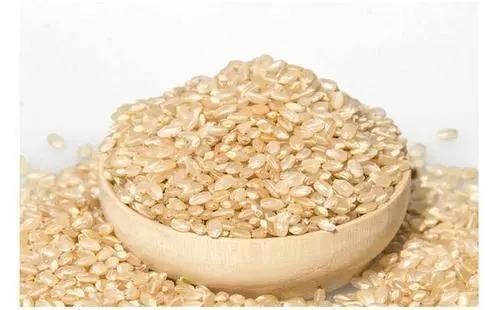 如何运动十天瘦五斤,瘦身运动方法5天瘦10斤