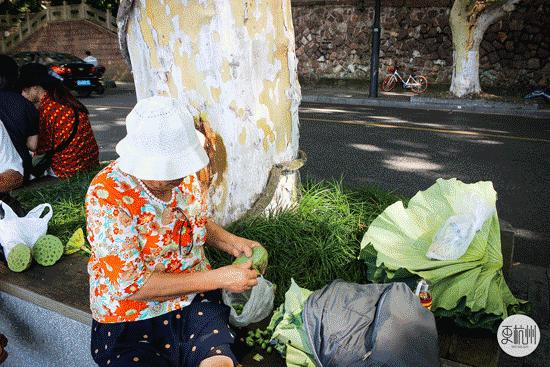 半天卖出500斤！这玩意全身是宝，一到秋天杭州人就扎堆去吃