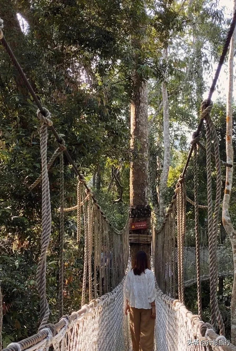 介绍一下云南的西双版纳,云南西双版纳的介绍景点