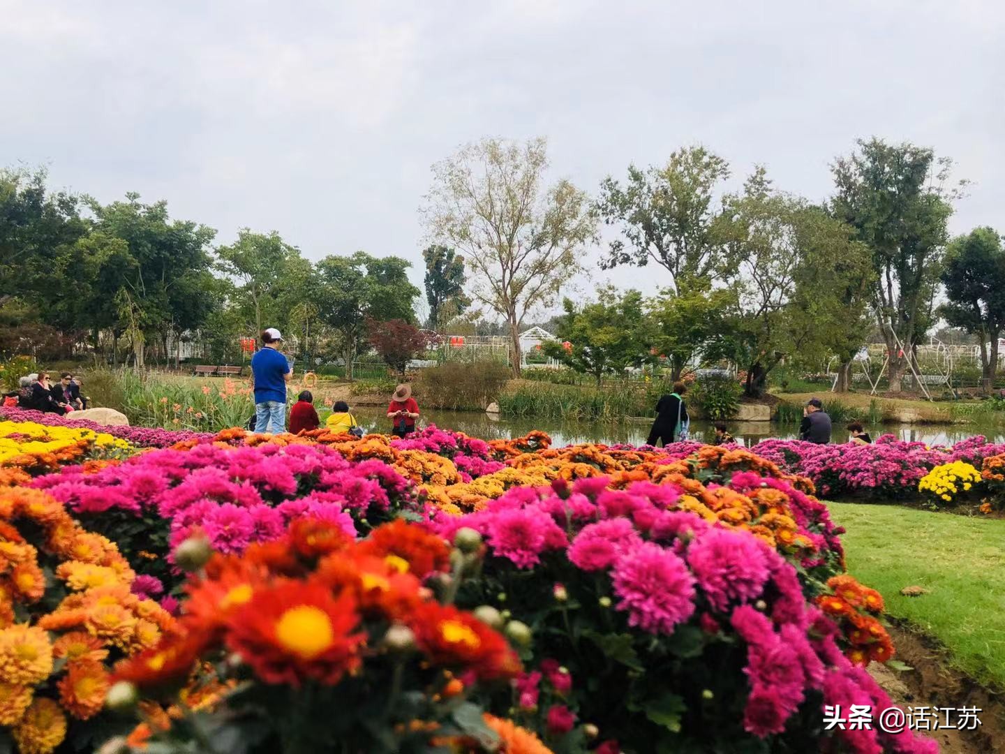 南京赏花的地方有哪里,南京赏花踏青