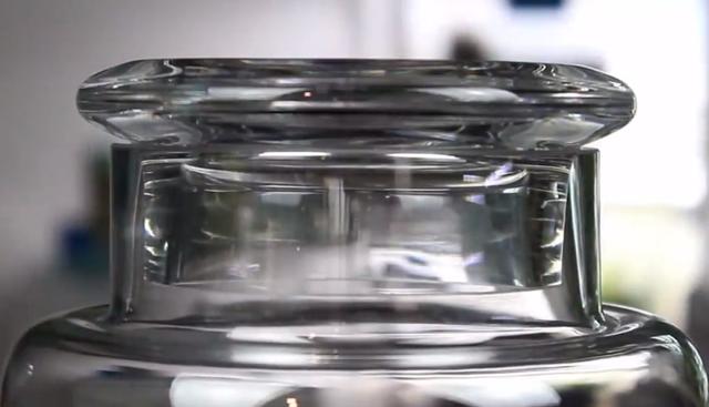 莫斯树到底好不好,莫斯树是什么