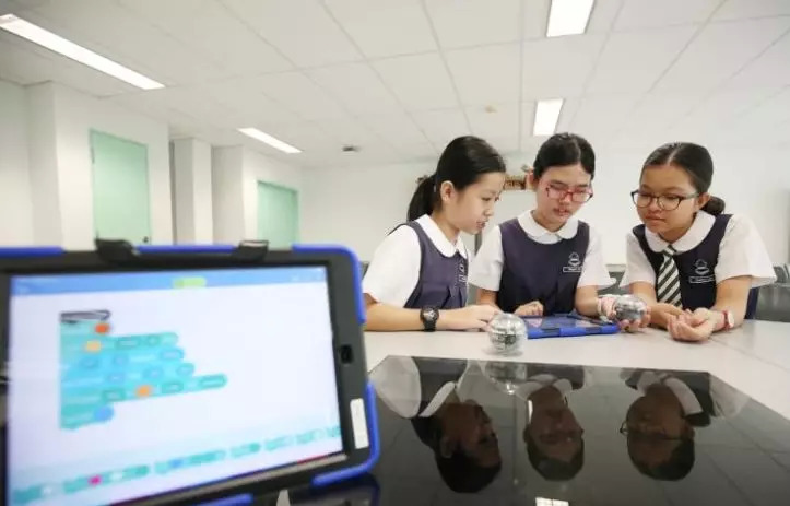 新加坡哪里能学编程,新加坡上学从小学到大学学制
