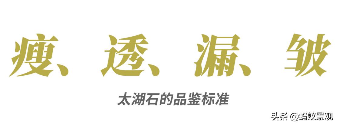 陈从周的园林作品有哪些,陈从周中国园林风格