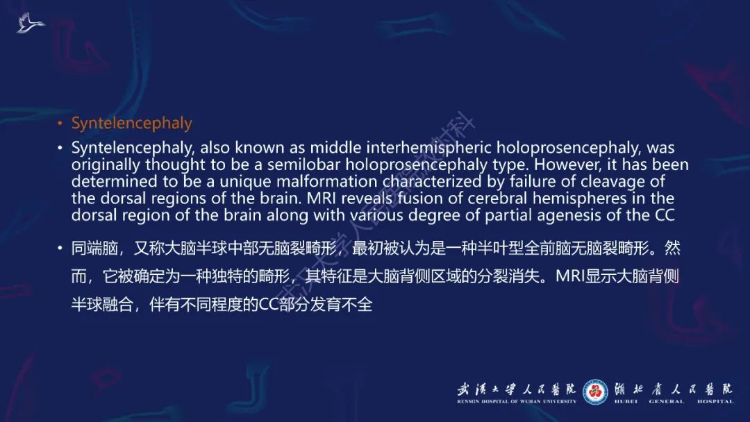 胼胝体肿瘤影像鉴别,胼胝体病变影像诊断