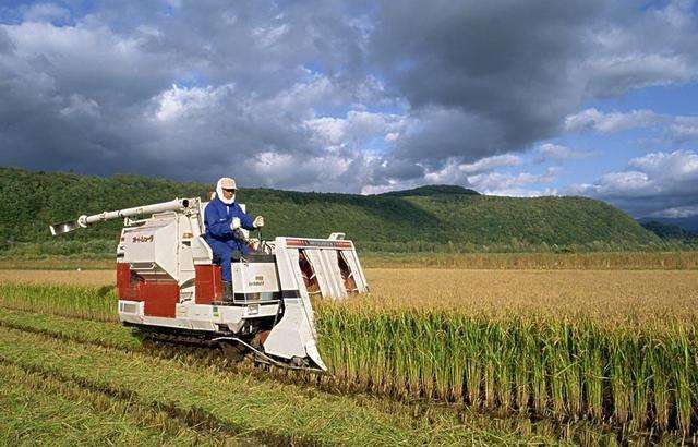 日本农业现状及前景,不吹不黑浙江农林大学