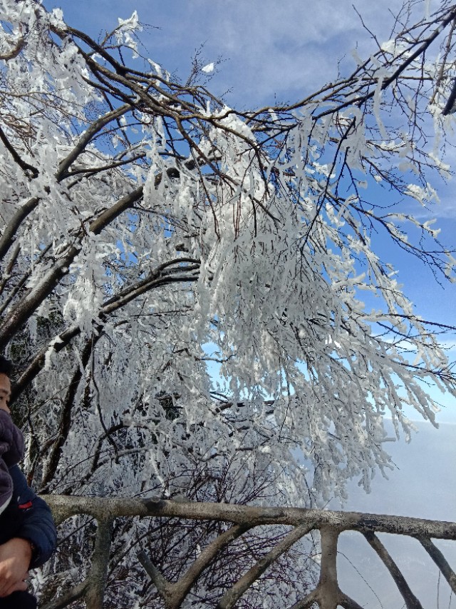 张家界天门山雪景,张家界天门山国家森林公园