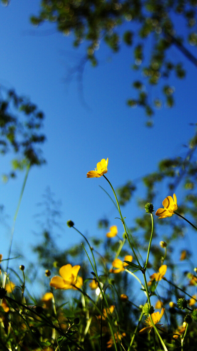 唐代宰相的一首谜语诗，写风入选小学课本，短短20字成千古名篇