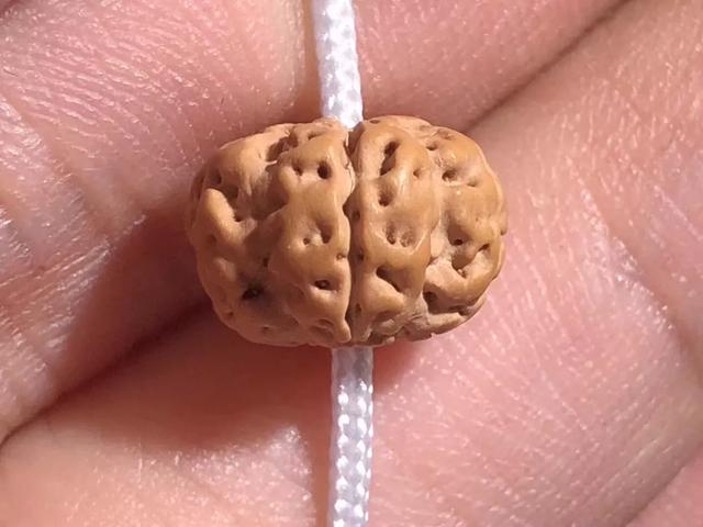 金刚菩提有什么套路,小心驶得万年船是什么意思