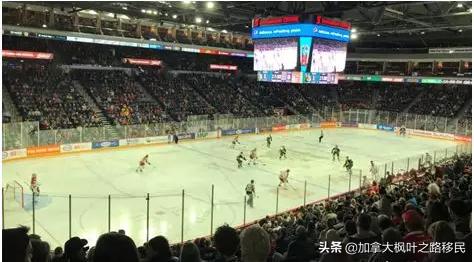 移民加拿大后，第一次在现场看激动人心的冰球比赛是种什么体验？