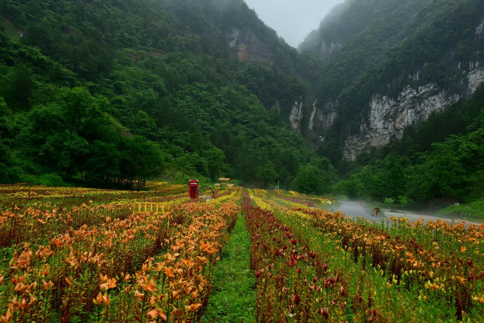 六月回忆儿时校园,六月回忆童年