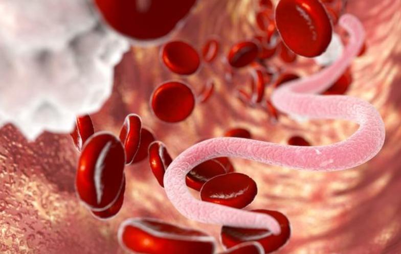 狗消化不良呕吐怎么办,狗突然拉肚子吐怎么回事