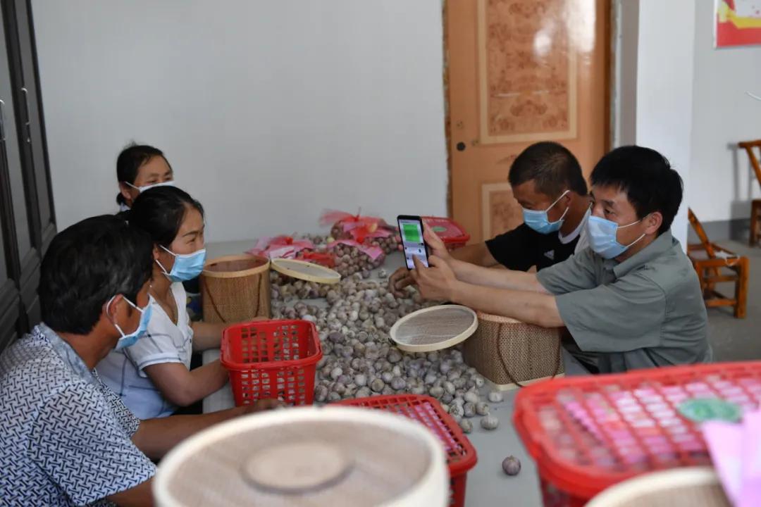 被按下暂停键的第一天,被按住暂停键后的感受