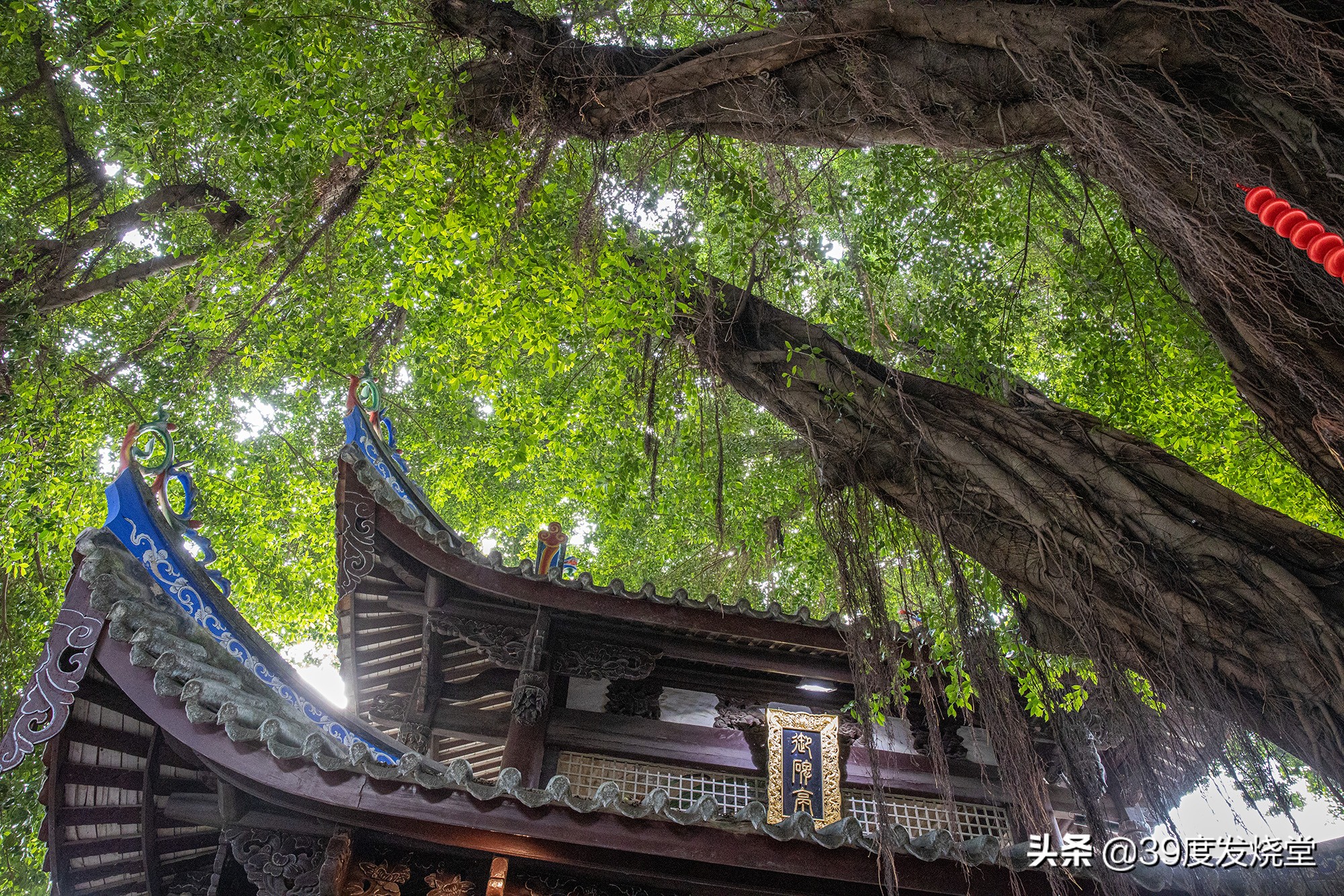 佳能大三元rf24,佳能大三元rf24-70