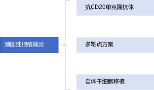 狼疮性肾炎3型要打什么针治疗,读懂三张表落实提质增效