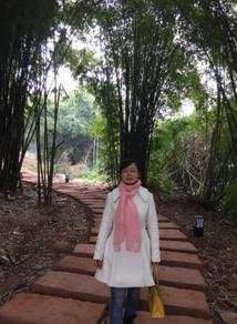 百坡中学好吗,百坡中学招生片区地图