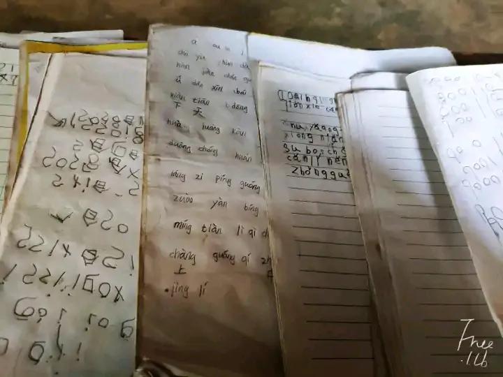 大学生去西藏支教的真实感受,真实的藏区支教