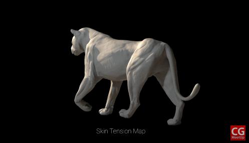 狮子王到底返不返场,狮子王口碑