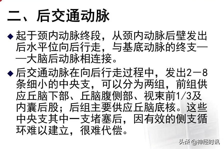 脑动脉解剖学讲解,基底节区脑血管解剖