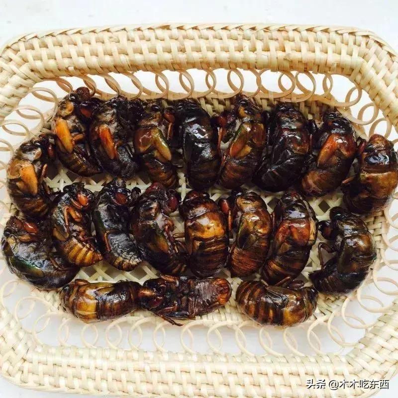 全国迷惑的特色美食,全国美食猎奇