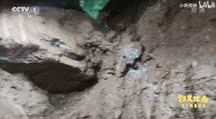 不吹不黑的台剧,不吹不黑最新视频