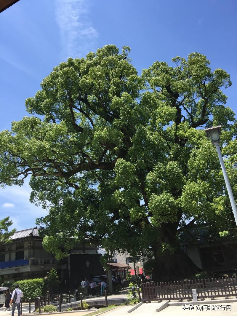地中海辉煌号豪华邮轮视频,地中海邮轮辉煌号旅游