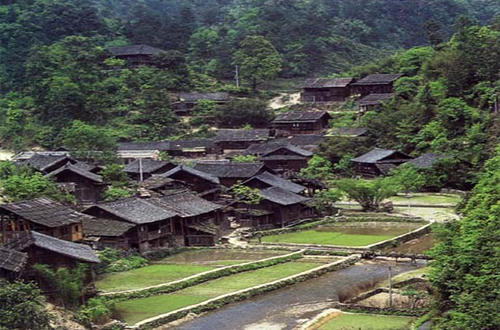 贵州名茶都匀毛尖茶加工技术,都匀毛尖是中国十大名茶英文翻译