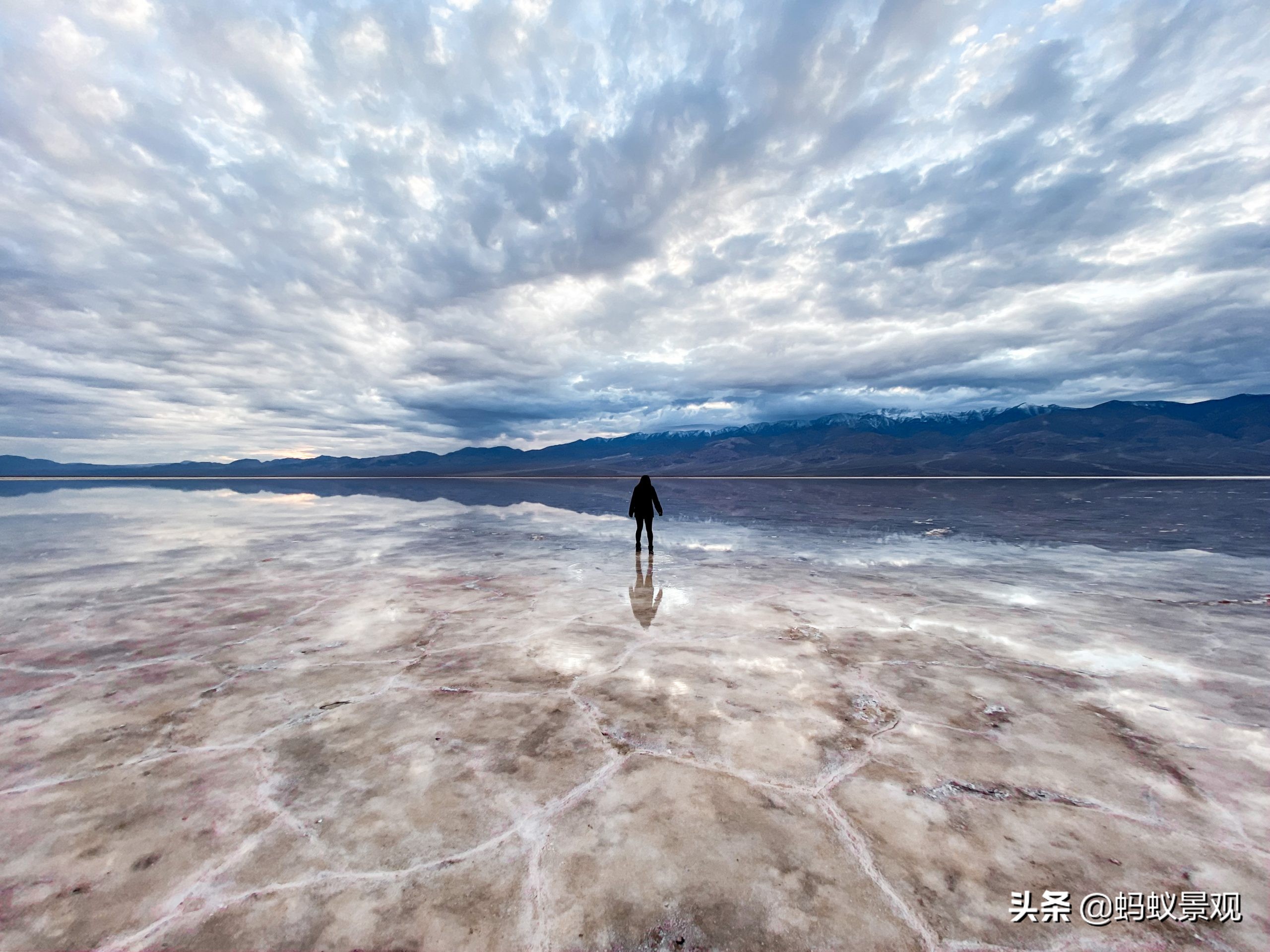 电影蒙太奇的理解,蒙太奇知识