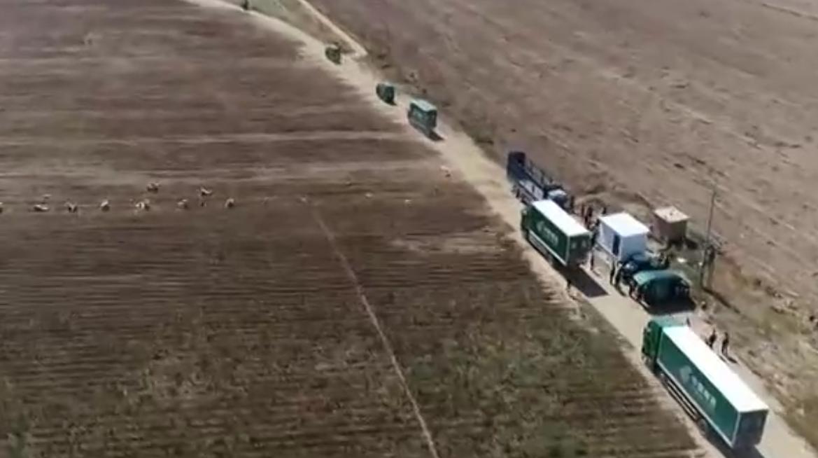 内蒙马铃薯丰收,内蒙古马铃薯丰收