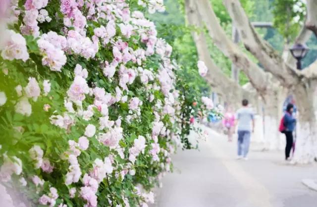 南京是属于哪个省的,南京是现在的哪个城市