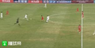 野牛进家,野牛加入国家队