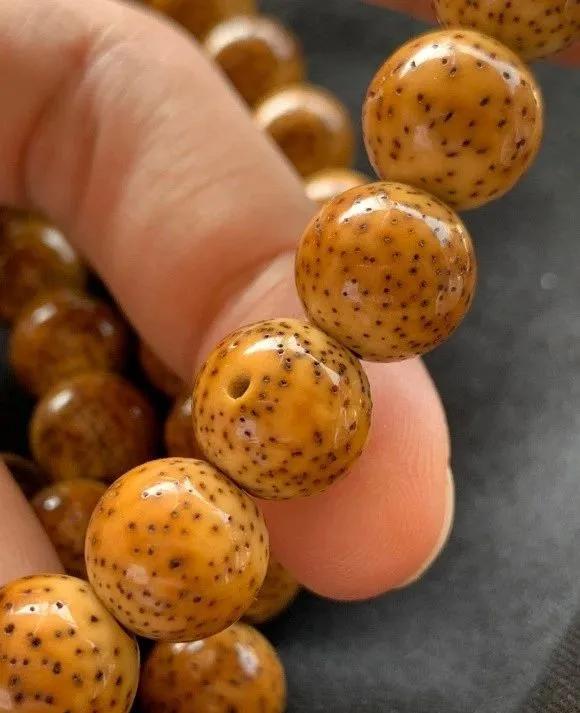 顺白星月盘绿了怎么回事,顺白的星月怎么看好坏