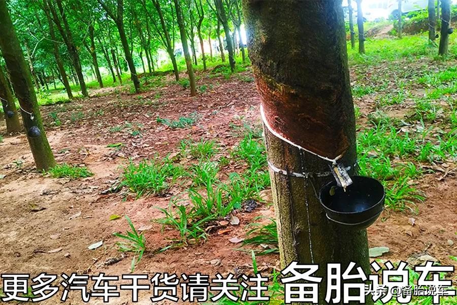 国产轮胎为什么比国外价格高,国产轮胎与进口轮胎差距有多大