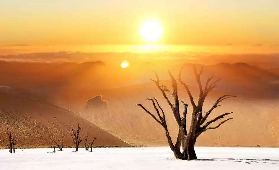 当前抗乙肝病毒药物的选择,目前最好最新的抗乙肝病毒药