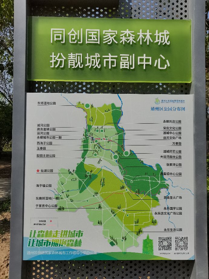 吃饱了来公园走走,吃饱喝足广场散步